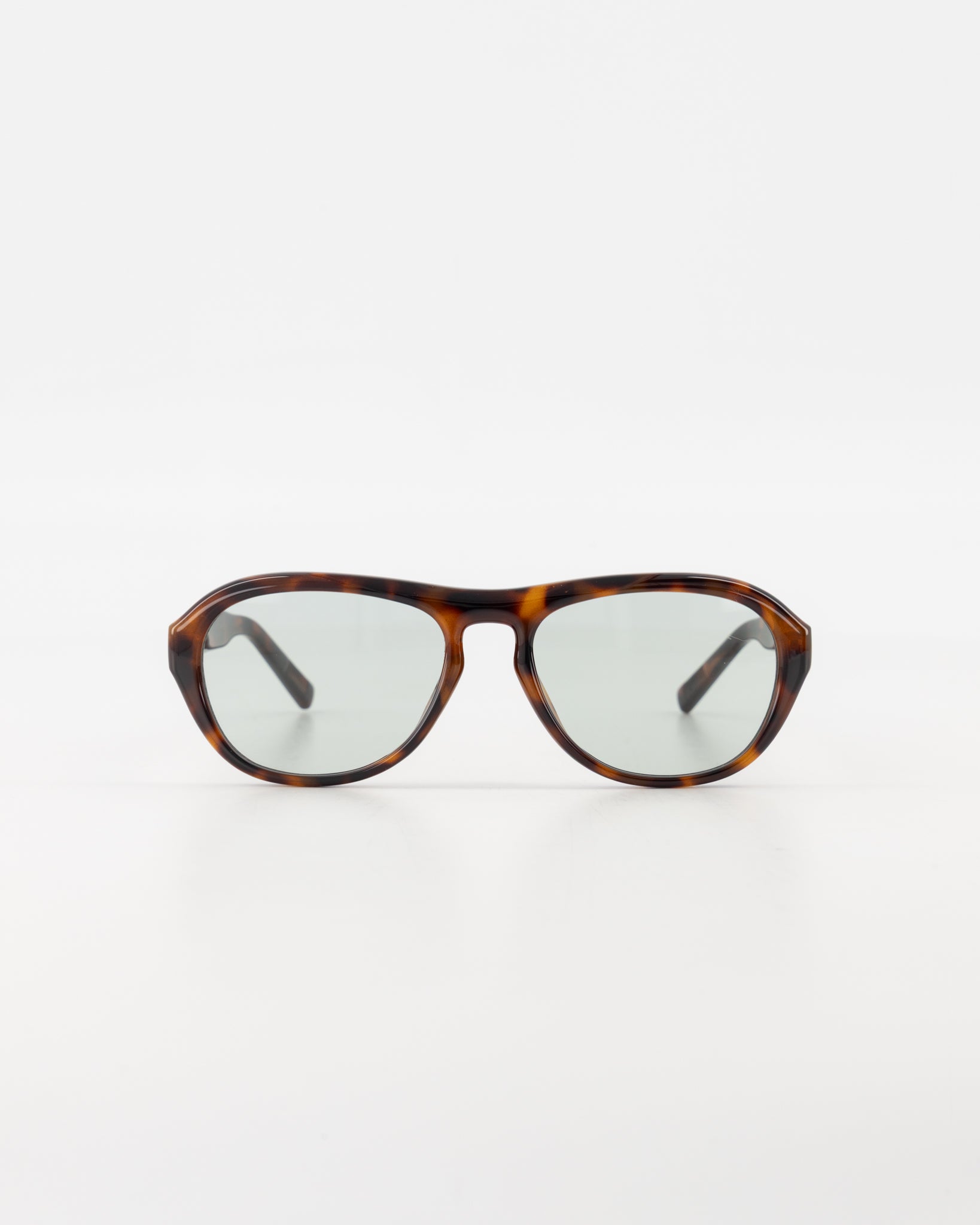 Capri Resin Tortoise Sunglasses