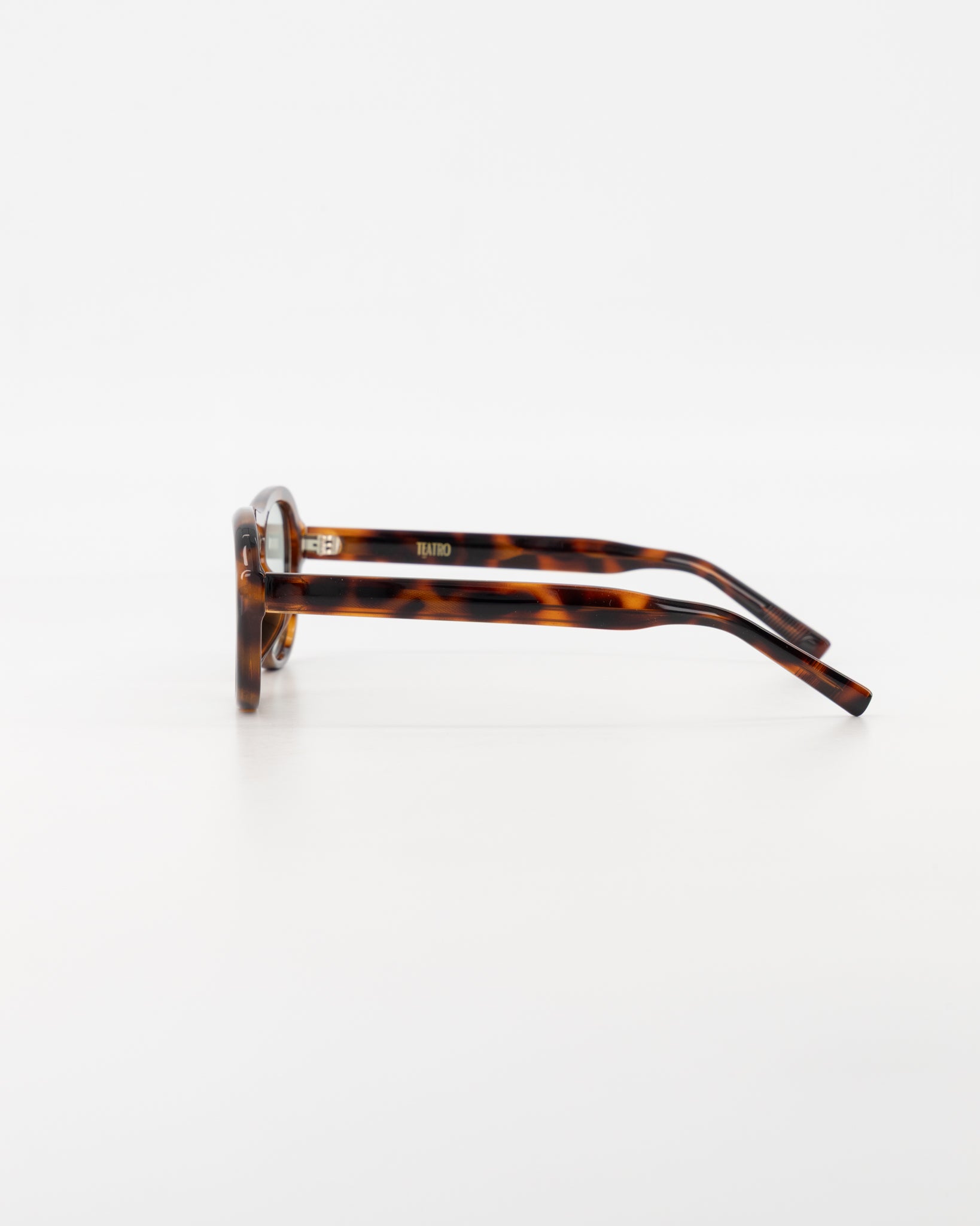 Capri Resin Tortoise Sunglasses
