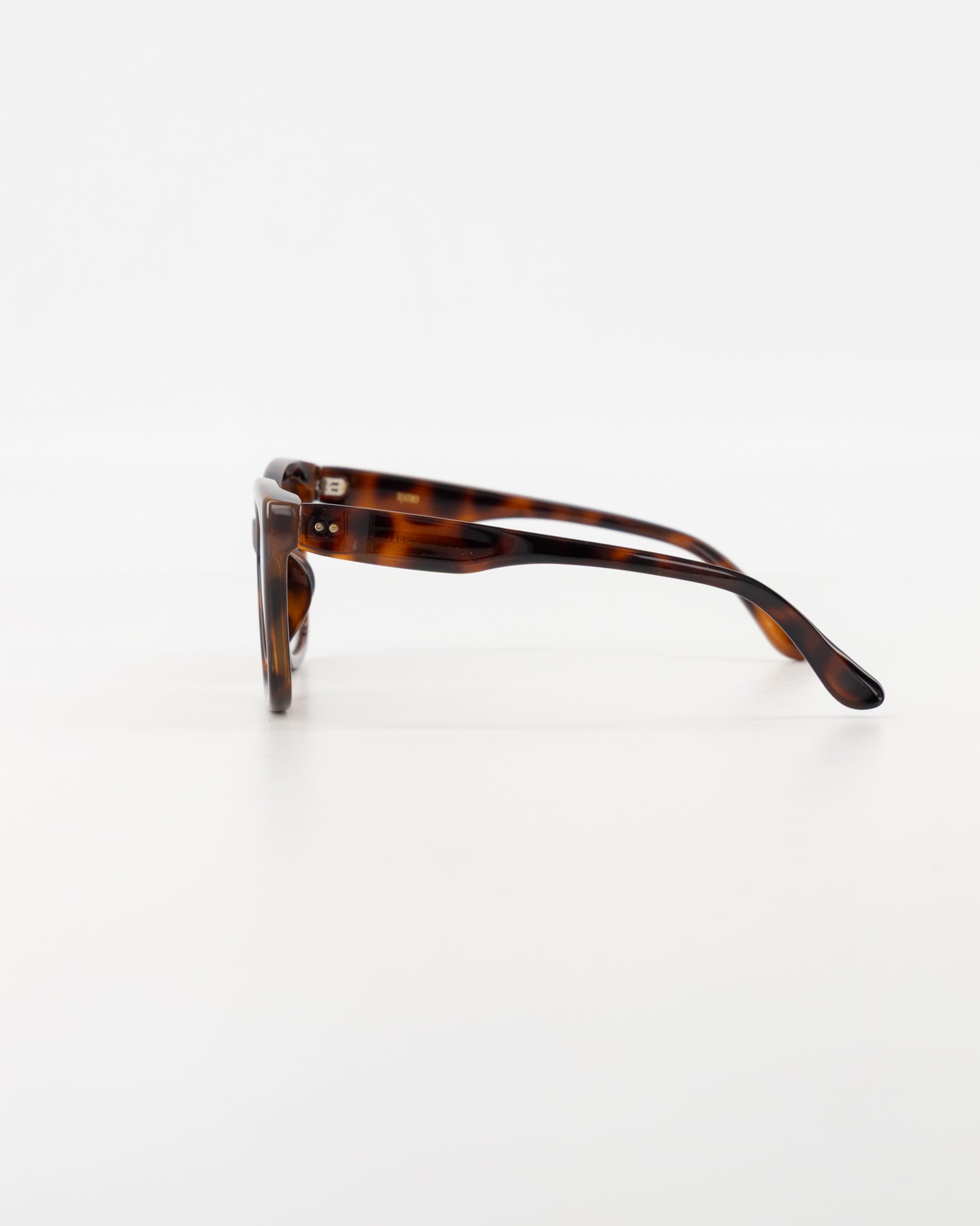 Giselle Resin Tortoise Sunglasses