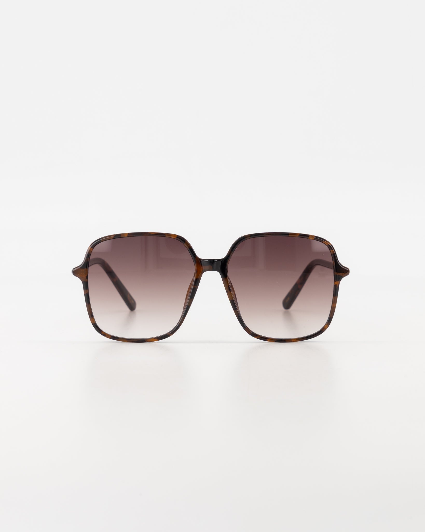Malibu Resin Tortoise Sunglasses