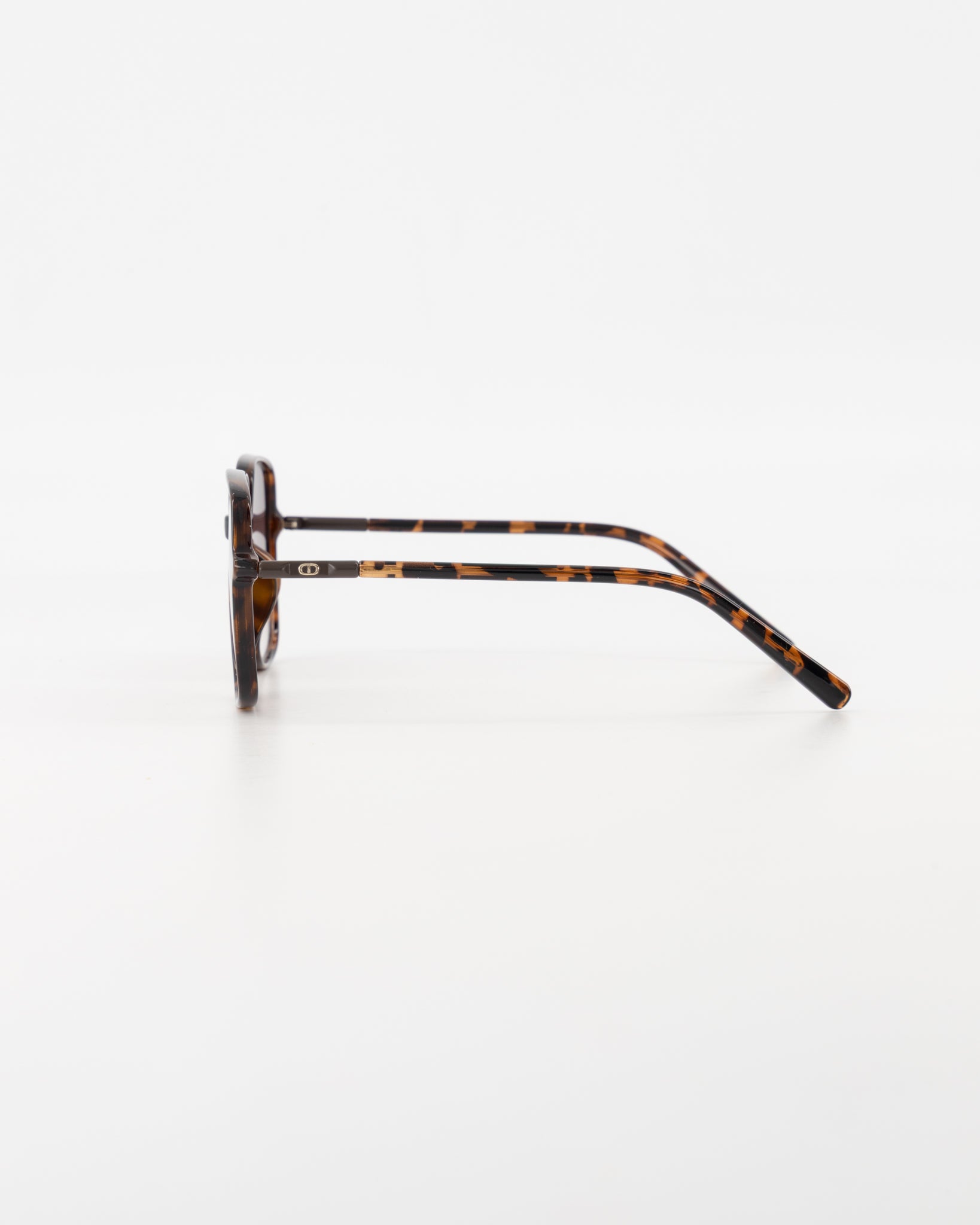 Malibu Resin Tortoise Sunglasses