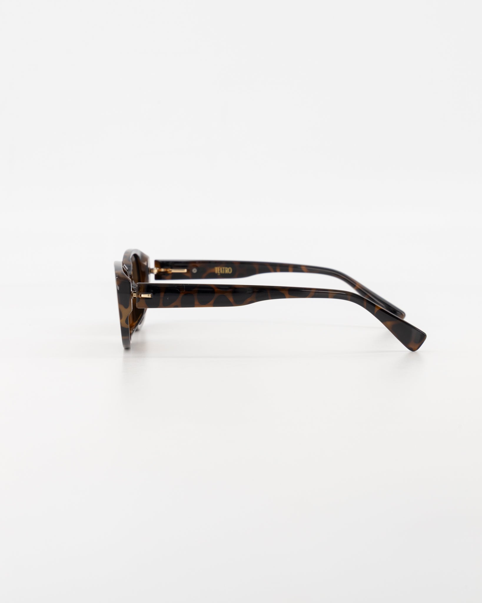 Bondi Resin Leopard Sunglasses