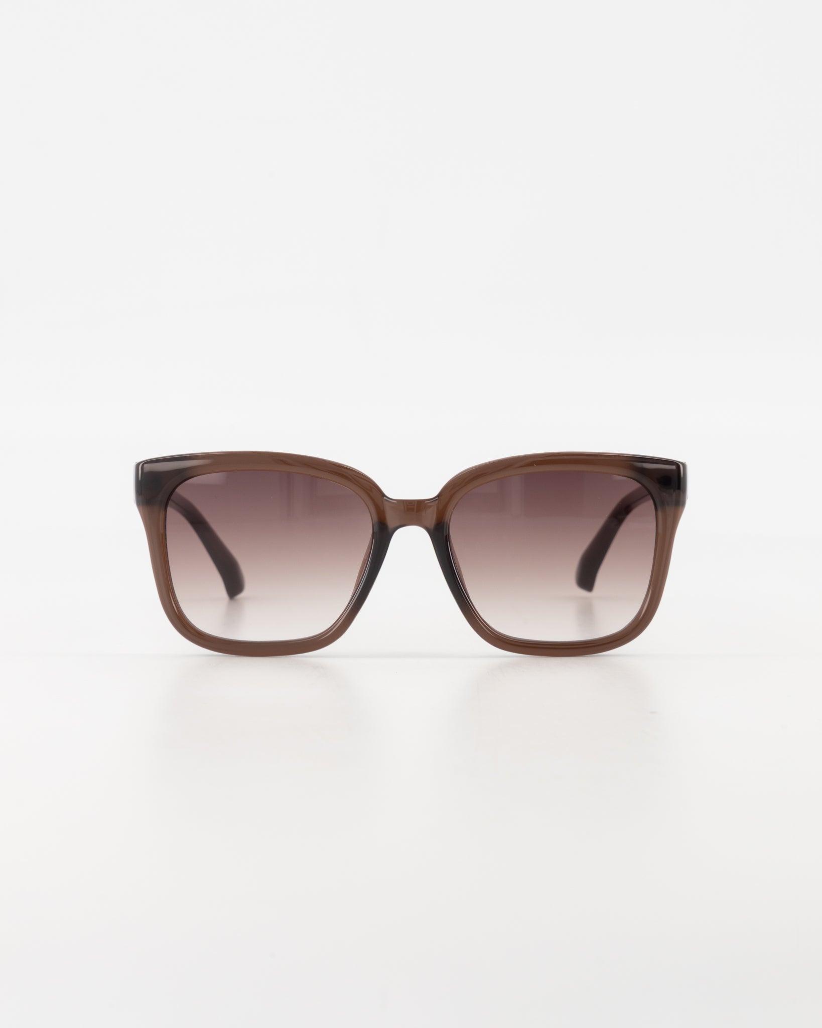 Giselle Resin Espresso Sunglasses