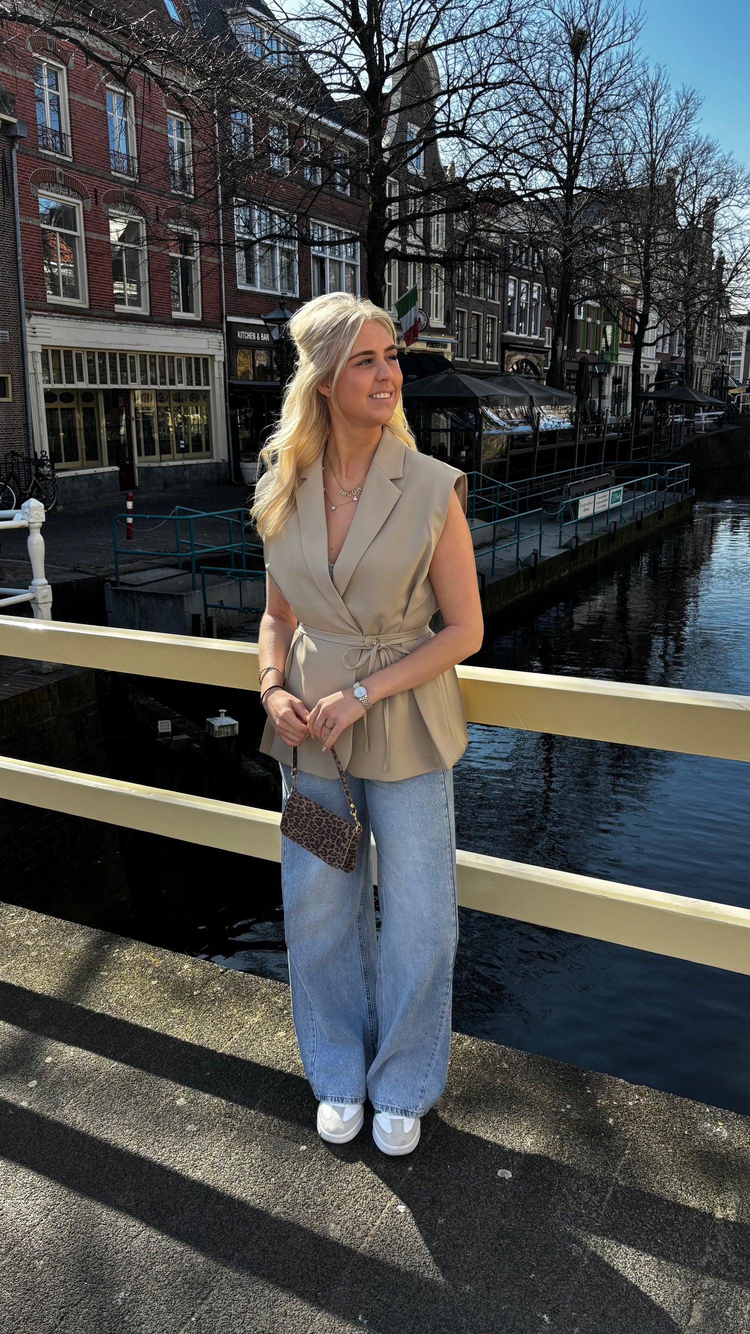 Fitted Gilet Taupe 24749